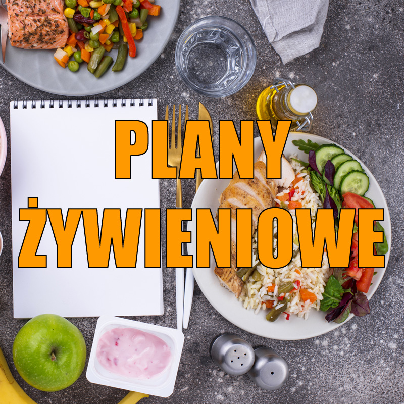 plan1_2